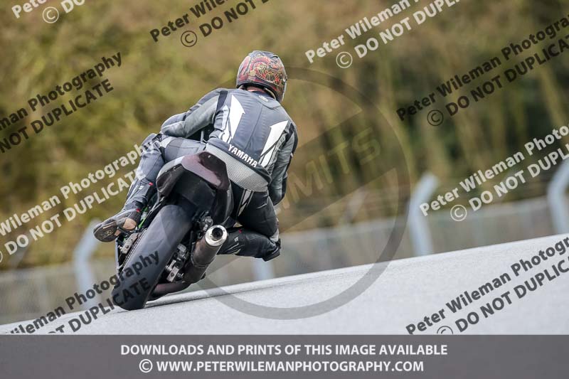 Oulton Park 14th March 2020;PJ Motorsport Photography 2020;anglesey;brands hatch;cadwell park;croft;donington park;enduro digital images;event digital images;eventdigitalimages;mallory;no limits;oulton park;peter wileman photography;racing digital images;silverstone;snetterton;trackday digital images;trackday photos;vmcc banbury run;welsh 2 day enduro